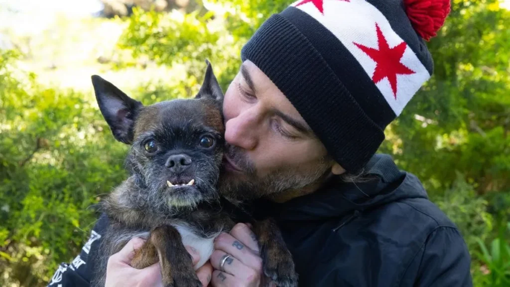 WWE pone a la venta merchandising de Larry, perro de CM Punk