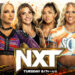 Previa WWE NXT 20 de agosto de 2024 Previa WWE NXT 20 de agosto de 2024