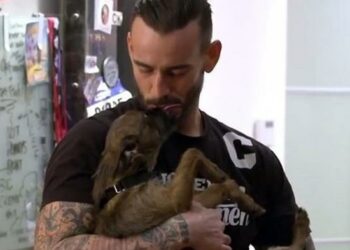 CM Punk: "Si alguien se mete con mi perro, lo lastimaré"