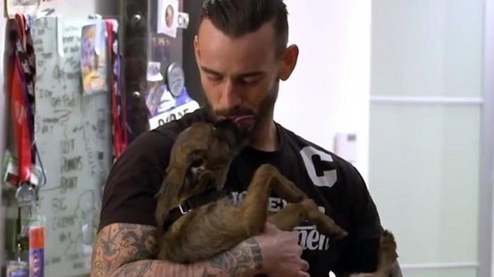 CM Punk: "Si alguien se mete con mi perro, lo lastimaré"