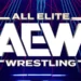 WWE habría tenido interés en una luchadora recientemente renovada por AEW WWE habría tenido interés en una luchadora recientemente renovada por AEW