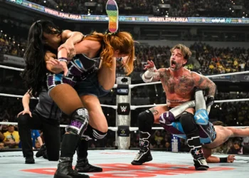 AJ Lee recibe elogios tras su regreso al ring en WWE WrestlePalooza