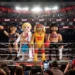 WWE llega a un acuerdo de colaboración con Playmobil WWE llega a un acuerdo de colaboración con Playmobil