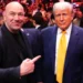 Donald Trump anuncia la fecha del evento de UFC en la Casa Blanca